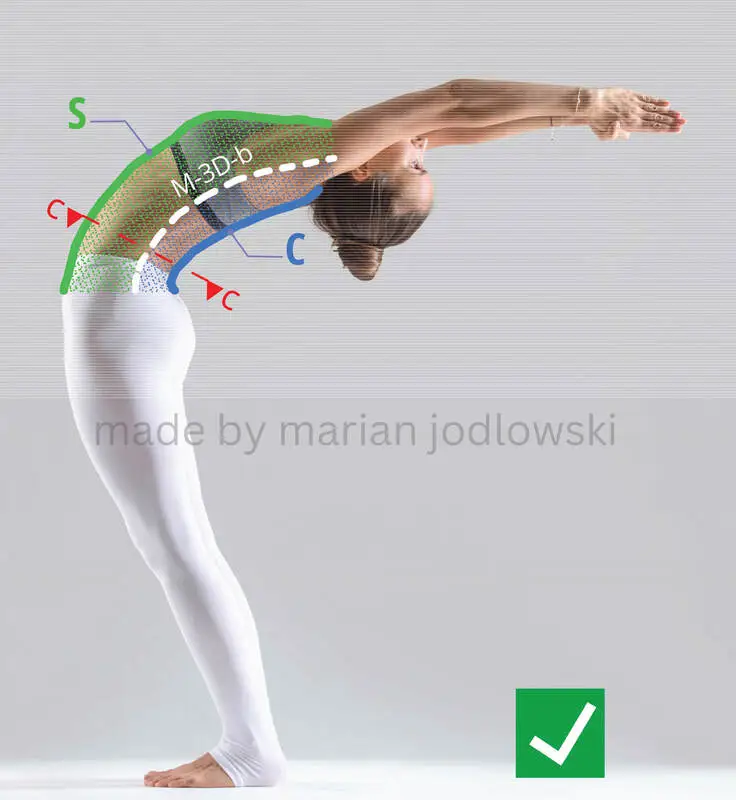 Compression and stretching zones of the trunk muscles - Bending backwards - How to bend properly