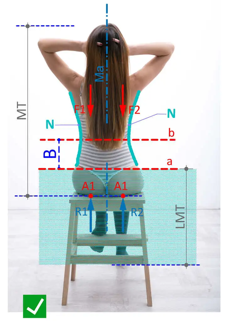 How to sit properly - upright position in the frontal plane